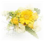 �������㗝�o�ȁA�������@�㗝�o�ȁA�F�l��s